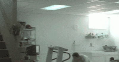 15 Epic GIF Gym Fails That Will Have You Laughing So Hard!