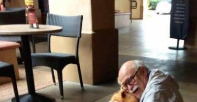 17 Reasons Why You Should Be Thankful For Your Dog!