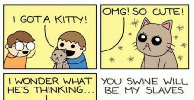 Dogs Have Owners, Cats Have Staff