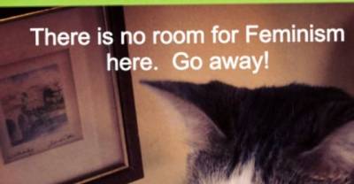 Cute Cats Taking A Confused Stand Against Feminism