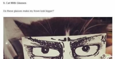 Cat Owners In Japan Give Their Cats Hilarious Anime Eyes