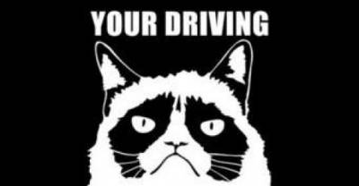 Road Rage: Lolcat Version