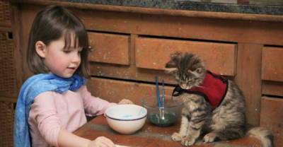 Heartwarming Friendship Of A 5-Year-Old Girl With Autism And Her Therapy Cat