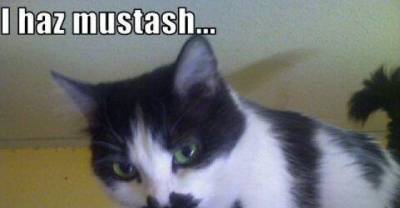 I mustache you a question