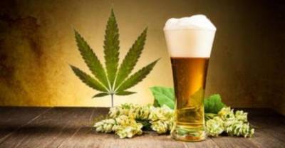 15 Interesting Beer Facts That Will Leave You Tipsy