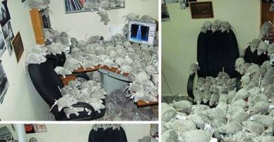 The 19 Best Office Pranks Of All Time. #7 Is Going To Be SO Mad When They Sit Down