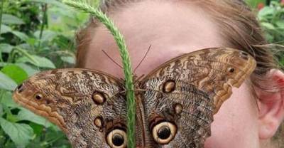 Pics That Could NEVER Be Replicated Because Their Timing Was So Perfect
