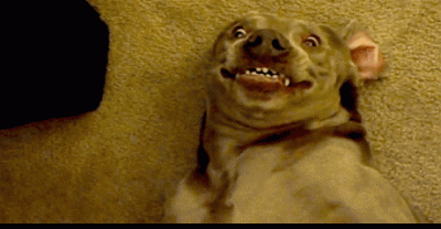14 GIFs That Perfectly Sum Up Flirting