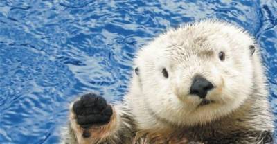 15 Bizarre Animal Facts That Just Might Leave You Terrified