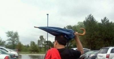 These Crazy Things by Crazy (Stupid) People will Drive You Crazy