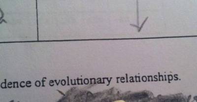 20 Little Things In Life That Get So Annoying So Fast