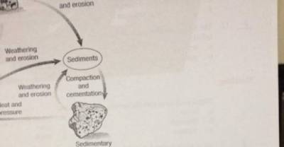 These Kids Drew All Over Their Homework, and So Their Teacher Drew Back
