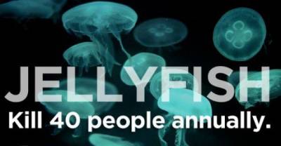 Warning: Top Deadliest Things Of All Time, Make Sure You Would Survive.