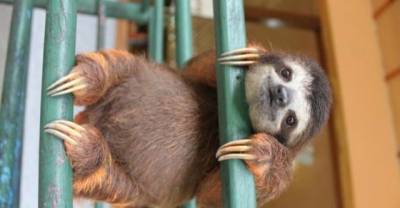 15 Cute Pictures To Get You Through That Hangover