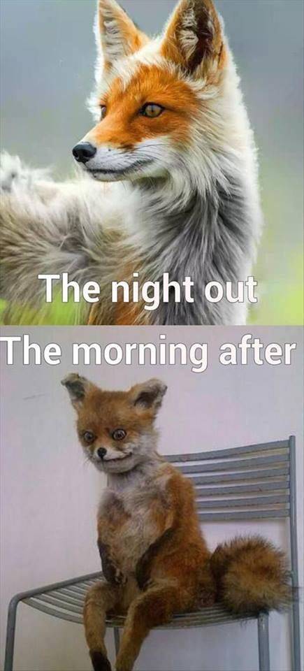 New years party hangover