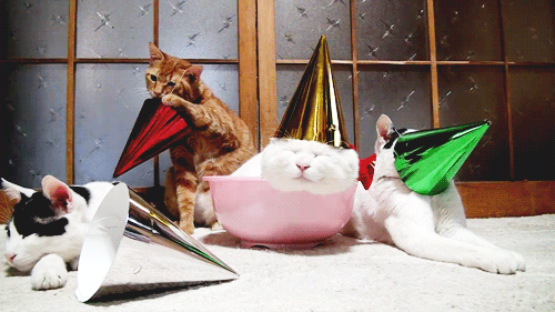 The gangs all here...