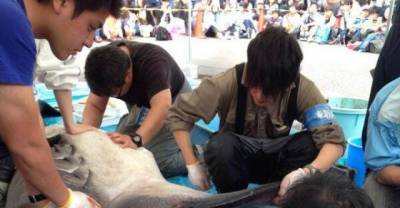 The Top 14 Animal Encounters From 2014!