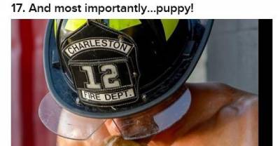 Firefighters With Puppies Are Guaranteed To Turn Up The Cuteness and The Heat