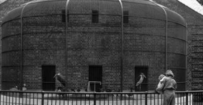 10 Amazing Staten Island Film Locations