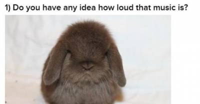 13 Baby Animals Being Grumpy Old Men