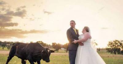 Funny Wedding Pics That&rsquo;ll Make Smile or Shake Your Head