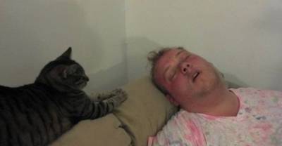 11 Cats Who Don&rsquo;t Give A Fu*k You're Hungover