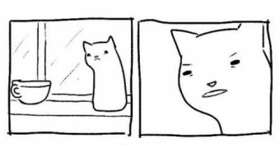 17 Images That Perfectly Capture Cat Logic