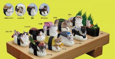 Sushi Cats, A Cute Collection of Magical Felines Resting on Sushi Rice