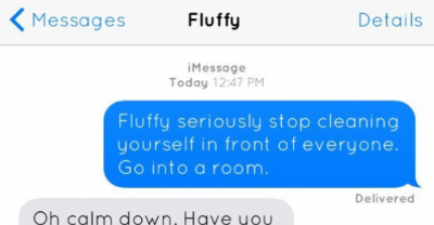This Is Exactly What Would Happen If Your Cat Could Text