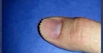 19 Things You Don't See Everyday