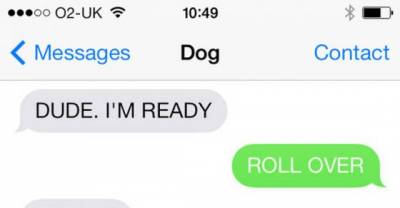 How Dogs Would Speak If They Could Text !