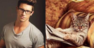 Cats Who Look Like The Model's Of Pinups, Beefcake Edition