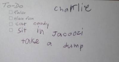 12 Super Cute To-Do Lists From Kids Who've Got Their Priorities Straight Part 2
