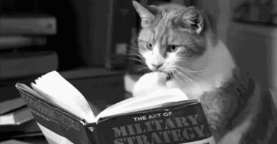 15 Ways Cats Are Planning World Domination
