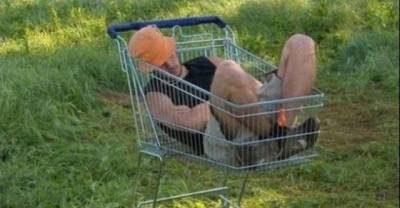 The Strangest Places To Take A Nap