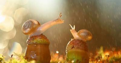 15 Tiny Little Creatures That Are Completely At Peace With The World