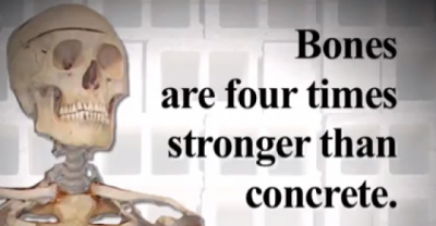 Unknown Facts About Human Body That You Don't Learn In School