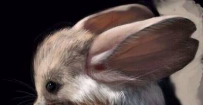 These Creatures Are Too Cute To Be Real