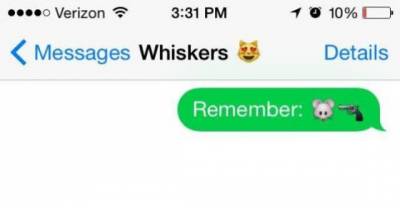 16 Texts I Wish I Could Send My Cat