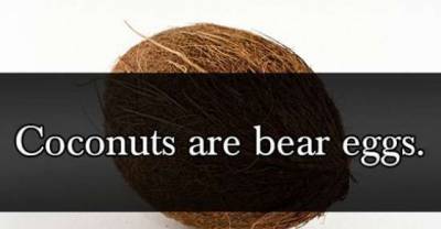 17 Crazy Lies Parents Tell Their Kids ,Which ONE is From Your Parents ??