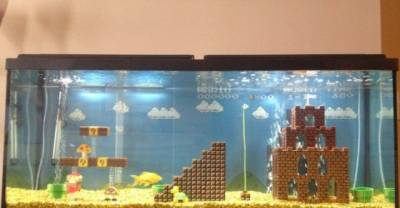 Those Are The World's 15 Best Looking Aquariums and Their Lucky Occupants