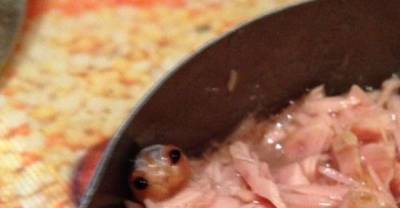 12 Weird Things People Found In Their Food