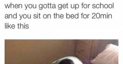 These Images Are Totally Relatable
