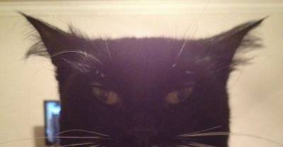 10 Random Things That Look EXACTLY Like Batman