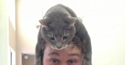 People Wearing Cats As Hats Are Winning The Internet Right Now