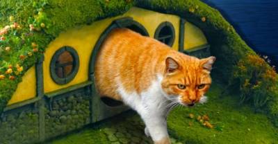 Dream Land For Cats, Lords Of The Rings Dwelling Place and Much More