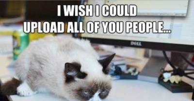 Grumpy Grumpier Grumpiest! Our Favorite Cat Is Still On Top Of His Game!
