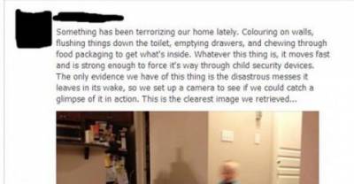 Funniest Facebook Status Updates Worth Reading!