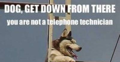 The Best Ever "Go Home.... You Are Drunk" Memes