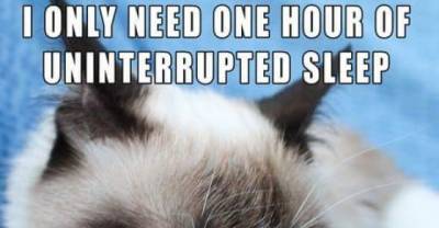 Grumpilicious: Deliciously Grumpy! The Most Hilariously Grumpy Cat In The World Speaks Out!
